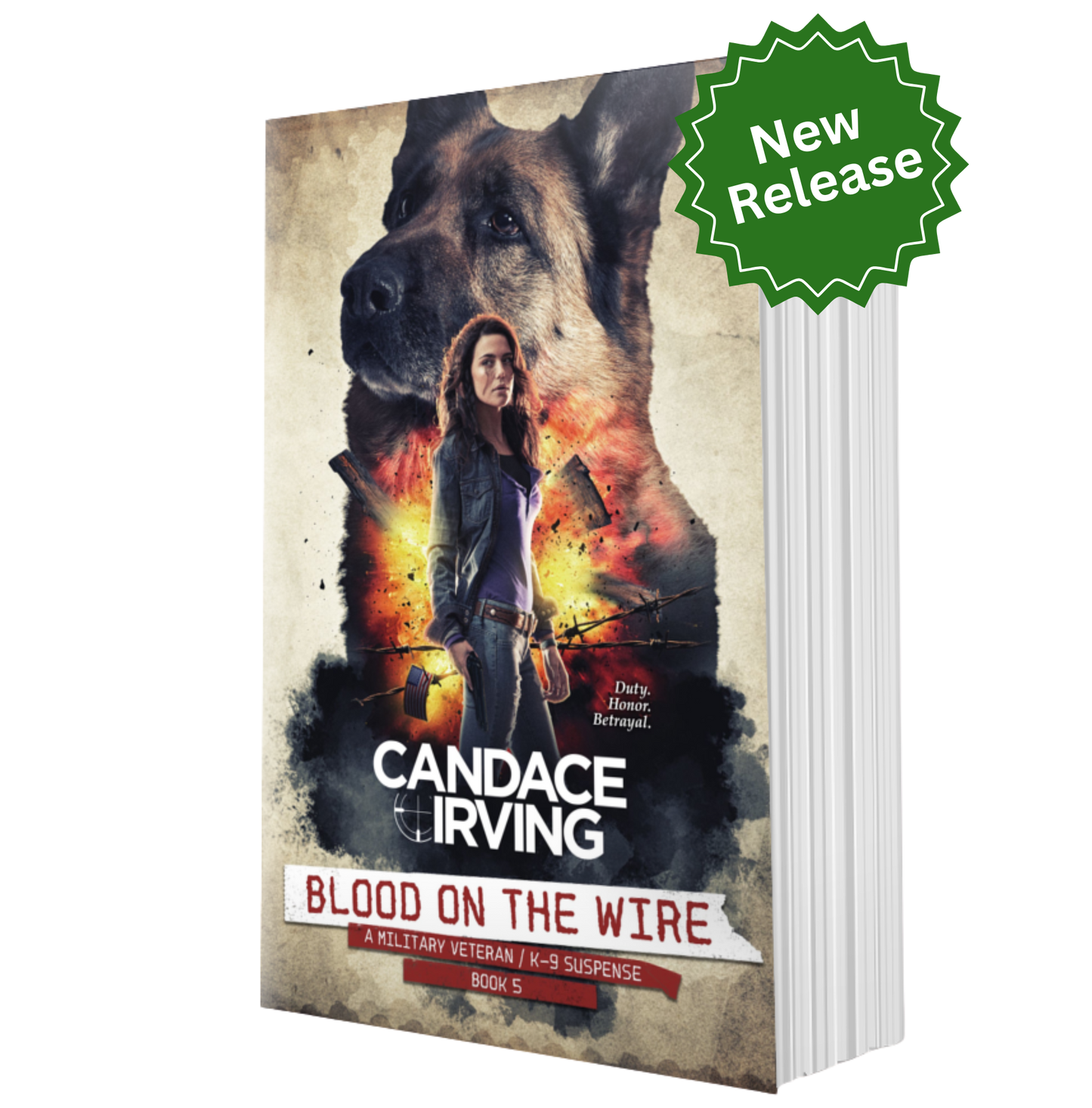 HIDDEN VALOR MILITARY VETERAN/K-9 MYSTERY THRILLER BUNDLE: PREQUEL + BOOKS 1-5 (PAPERBACK)