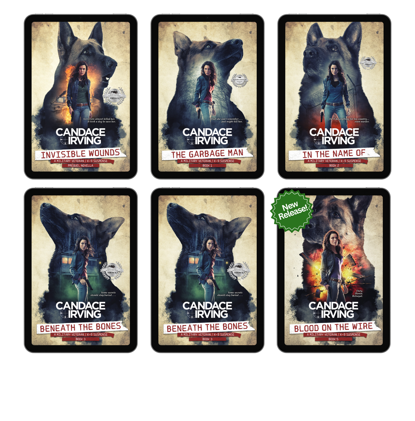 HIDDEN VALOR MILITARY VETERAN/K-9 MYSTERY BUNDLE: PREQUEL + BOOKS 1-6 (EBOOK)