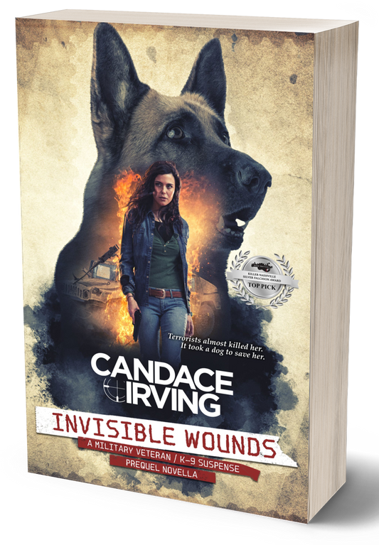 INVISIBLE WOUNDS: A HIDDEN VALOR MILITARY VETERAN/K-9 MYSTERY, Prequel Novella (PAPERBACK)