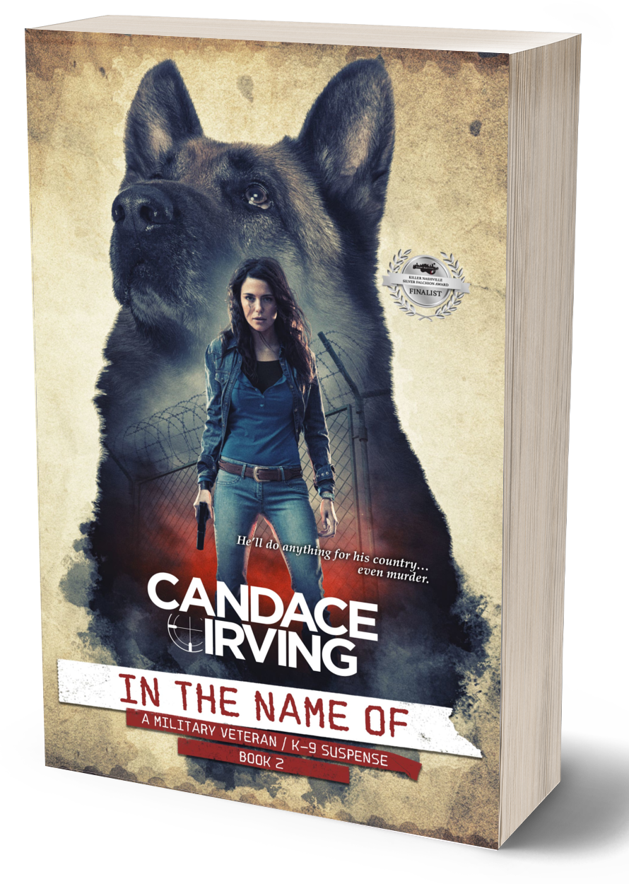 IN THE NAME OF: A HIDDEN VALOR MILITARY VETERAN/K-9 MYSTERY, Book 2 (PAPERBACK)