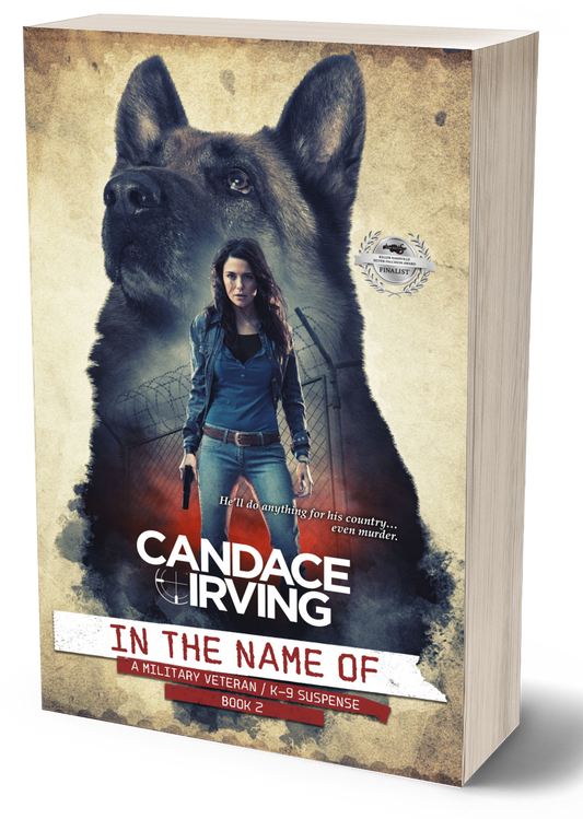 IN THE NAME OF: A HIDDEN VALOR MILITARY VETERAN/K-9 MYSTERY, Book 2 (PAPERBACK)