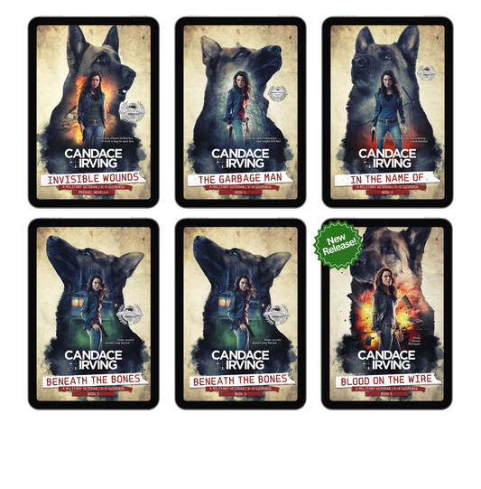 HIDDEN VALOR MILITARY VETERAN/K-9 MYSTERY BUNDLE: PREQUEL + BOOKS 1-6 (EBOOK)