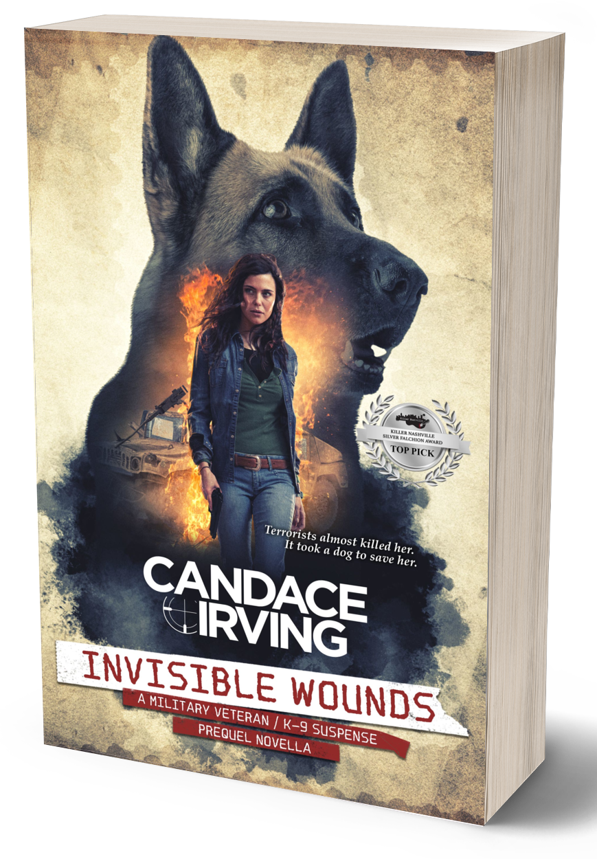 INVISIBLE WOUNDS: A HIDDEN VALOR MILITARY VETERAN/K-9 MYSTERY, Prequel Novella (PAPERBACK)