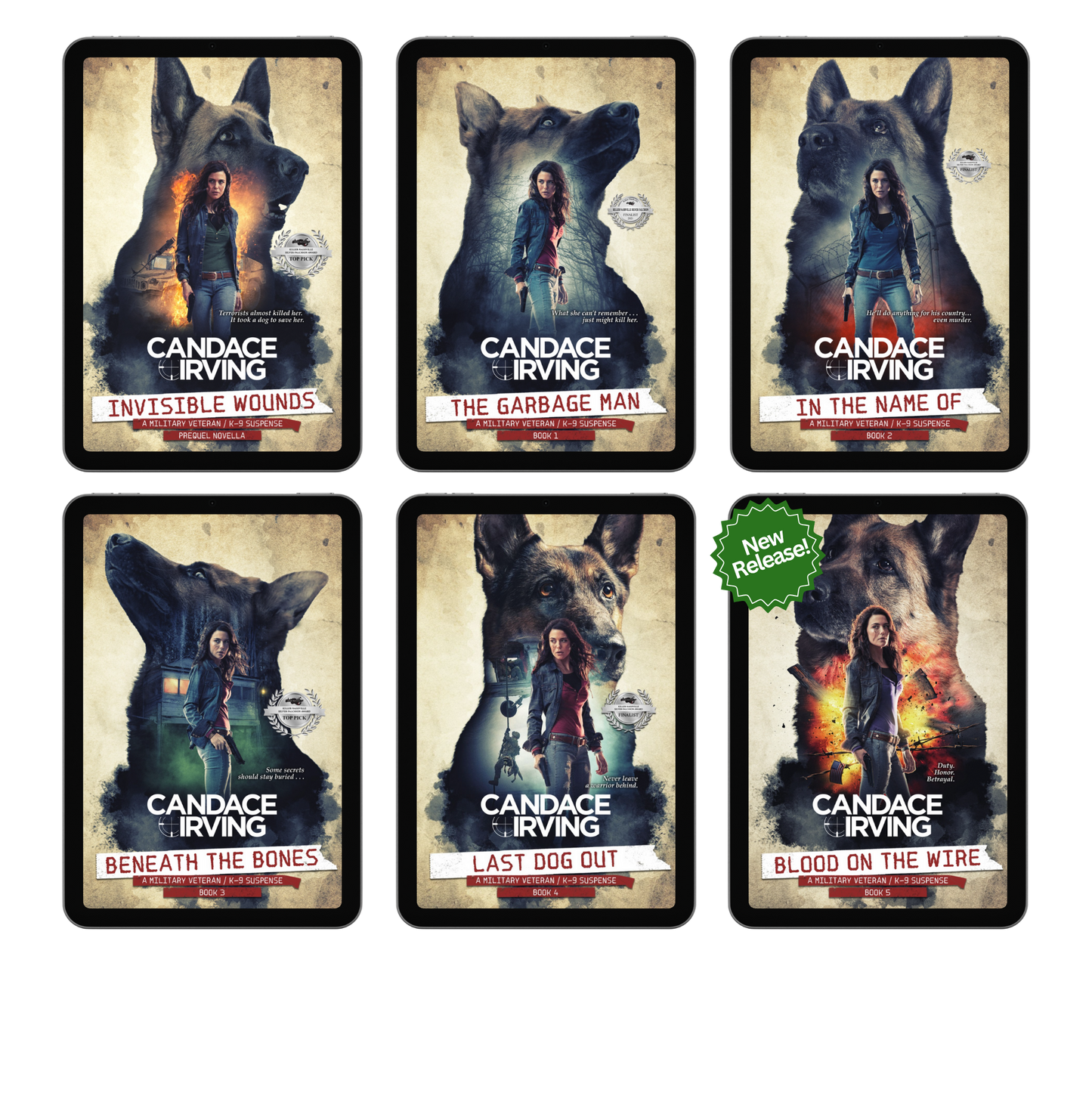 HIDDEN VALOR MILITARY VETERAN/K-9 MYSTERY BUNDLE: PREQUEL + BOOKS 1-6 (EBOOK)