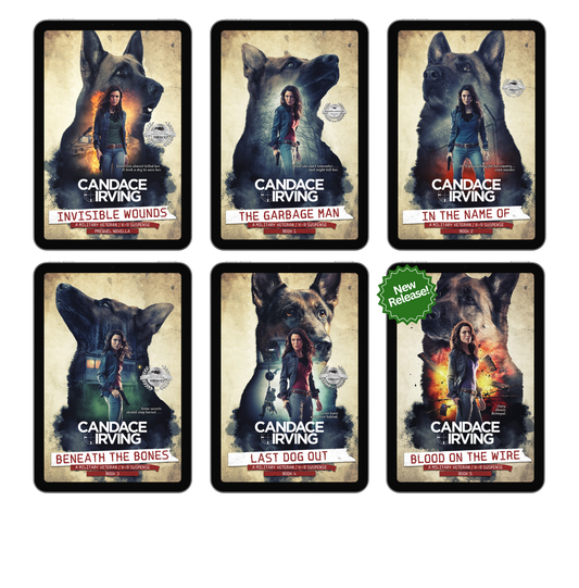 HIDDEN VALOR MILITARY VETERAN/K-9 MYSTERY BUNDLE: PREQUEL + BOOKS 1-6 (EBOOK)