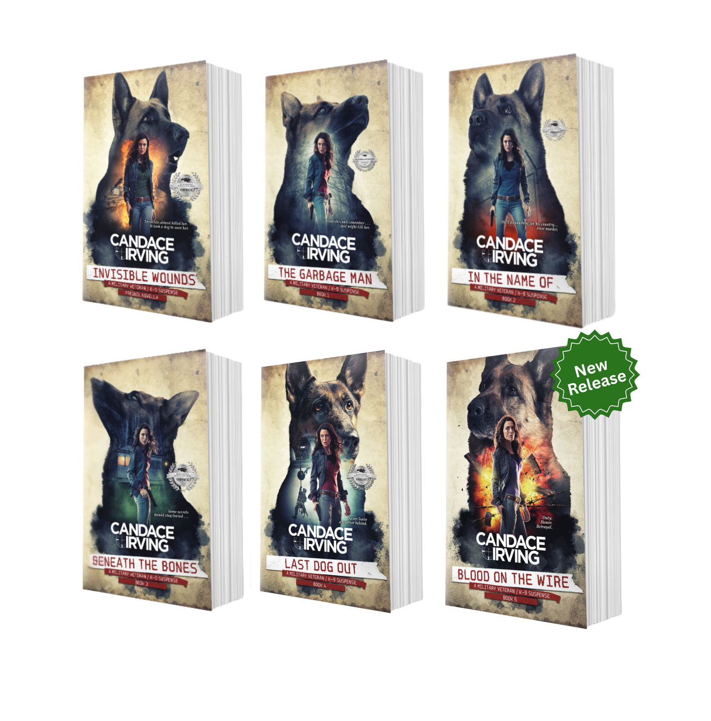 HIDDEN VALOR MILITARY VETERAN/K-9 MYSTERY BUNDLE: PREQUEL + BOOKS 1-5 (PAPERBACK)