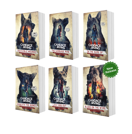 HIDDEN VALOR MILITARY VETERAN/K-9 MYSTERY BUNDLE: PREQUEL + BOOKS 1-5 (PAPERBACK)