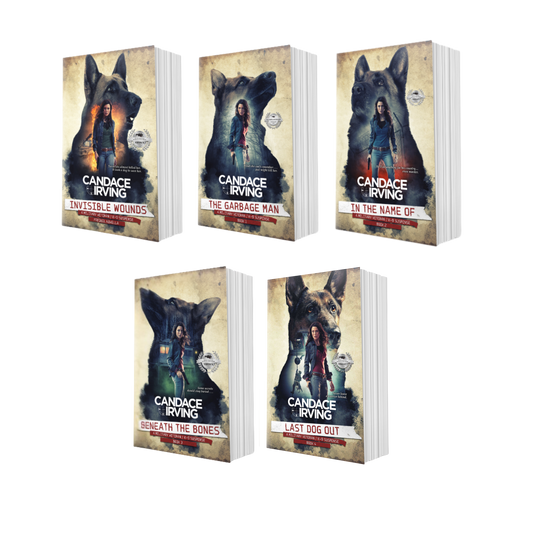 HIDDEN VALOR MILITARY VETERAN/K-9 MYSTERY BUNDLE: PREQUEL + BOOKS 1-4 (PAPERBACK)