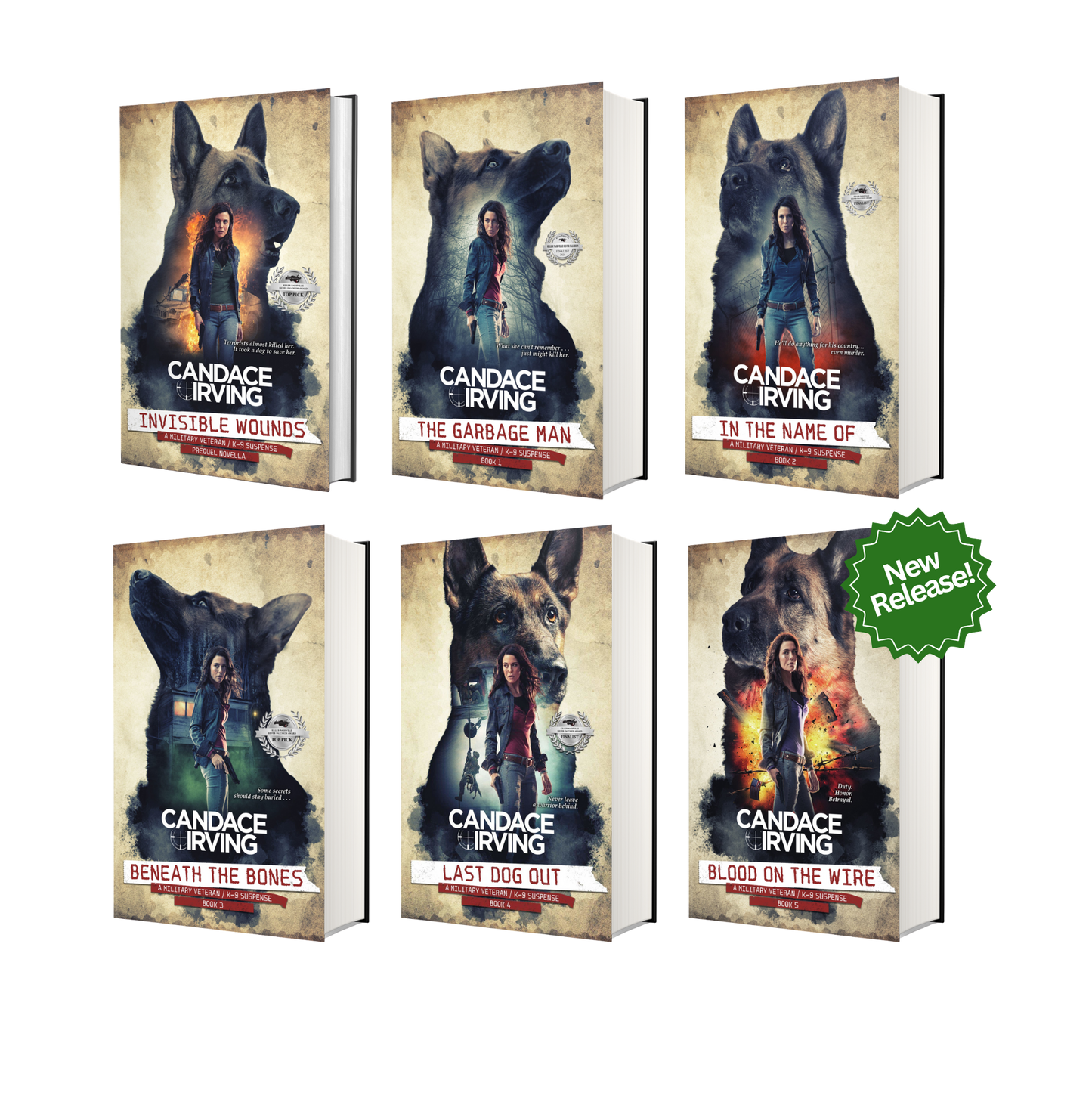 HIDDEN VALOR MILITARY VETERAN/K-9 MYSTERY BUNDLE: PREQUEL + BOOKS 1-5 (HARDCOVER)