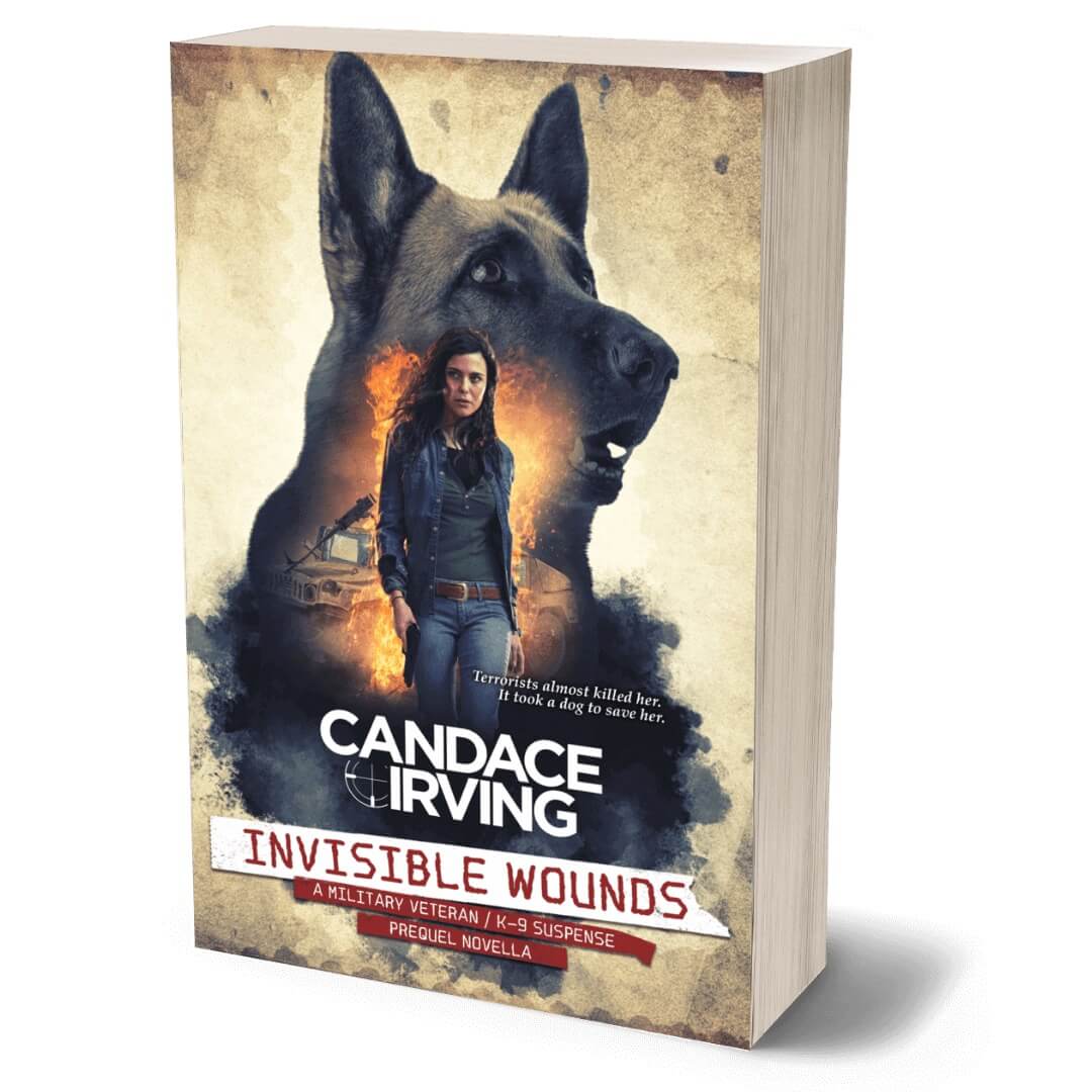 Invisible Wounds Paperback A Hidden Valor Military Veterans K-9 Mystery Suspense by Candace Irving